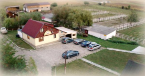 Гостиница Pensiunea ,La struti